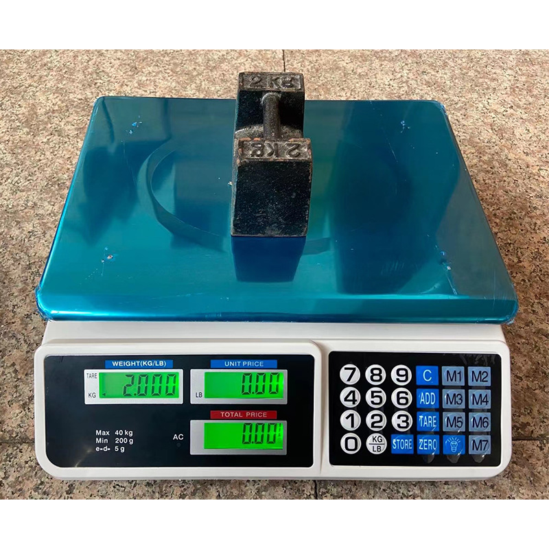 Stainless Steel Electronic Sca - Diy Electronics Stores reseña y precio