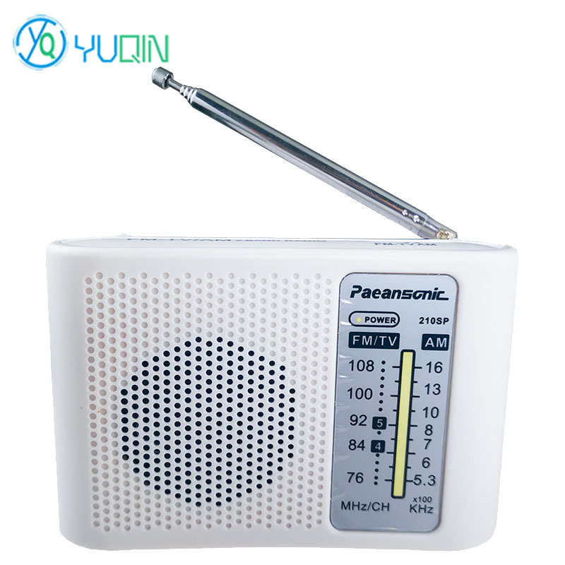 210SP AM/FM Radio Kit DIY Elec - Diy Electronics Projects For Adults reseña y precio